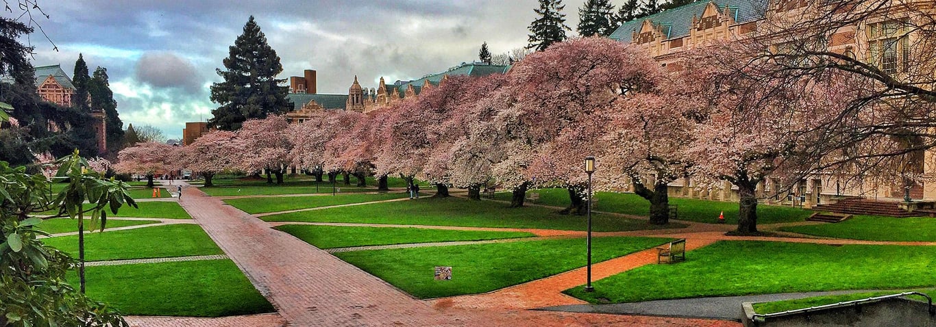 University of Washington-Seattle Campus campus