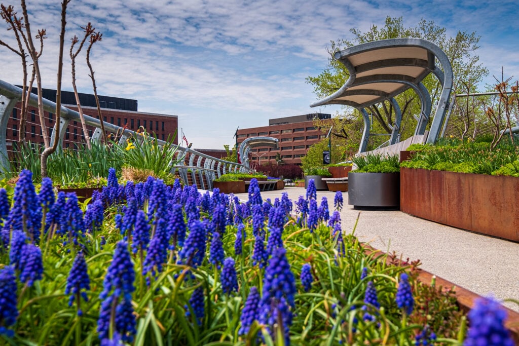 Fairleigh Dickinson University-Metropolitan Campus campus