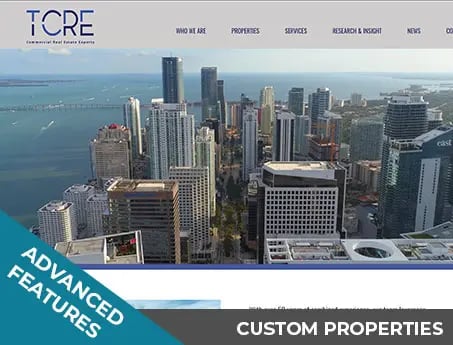 Screenshot of a website built for TCRE in South Florida, a brokerage that focuses on tenant rep of high end properties.