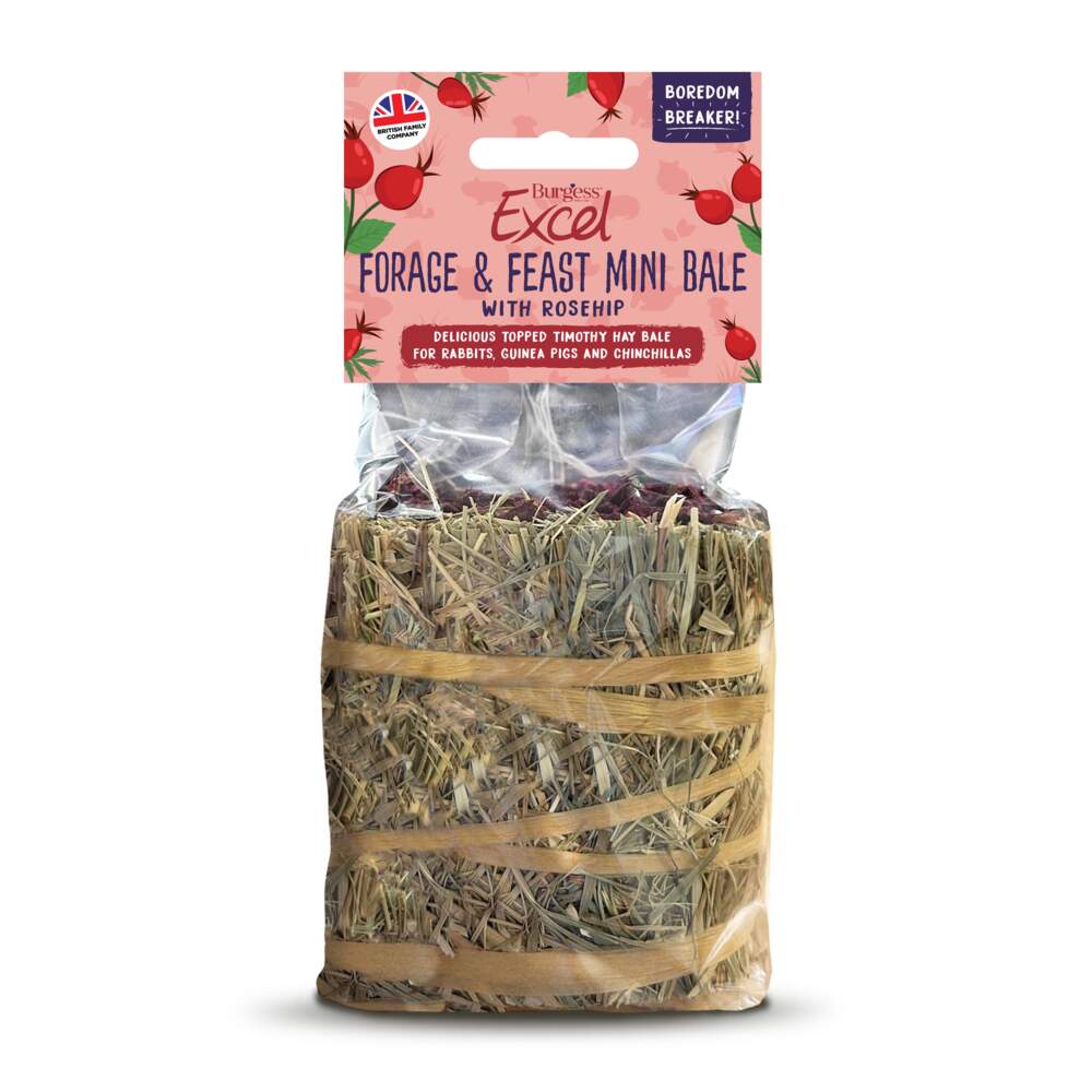 Burgess Forg & Feast Mini siens ar mežrozīšu augļiem, 100g - Produkta attēls