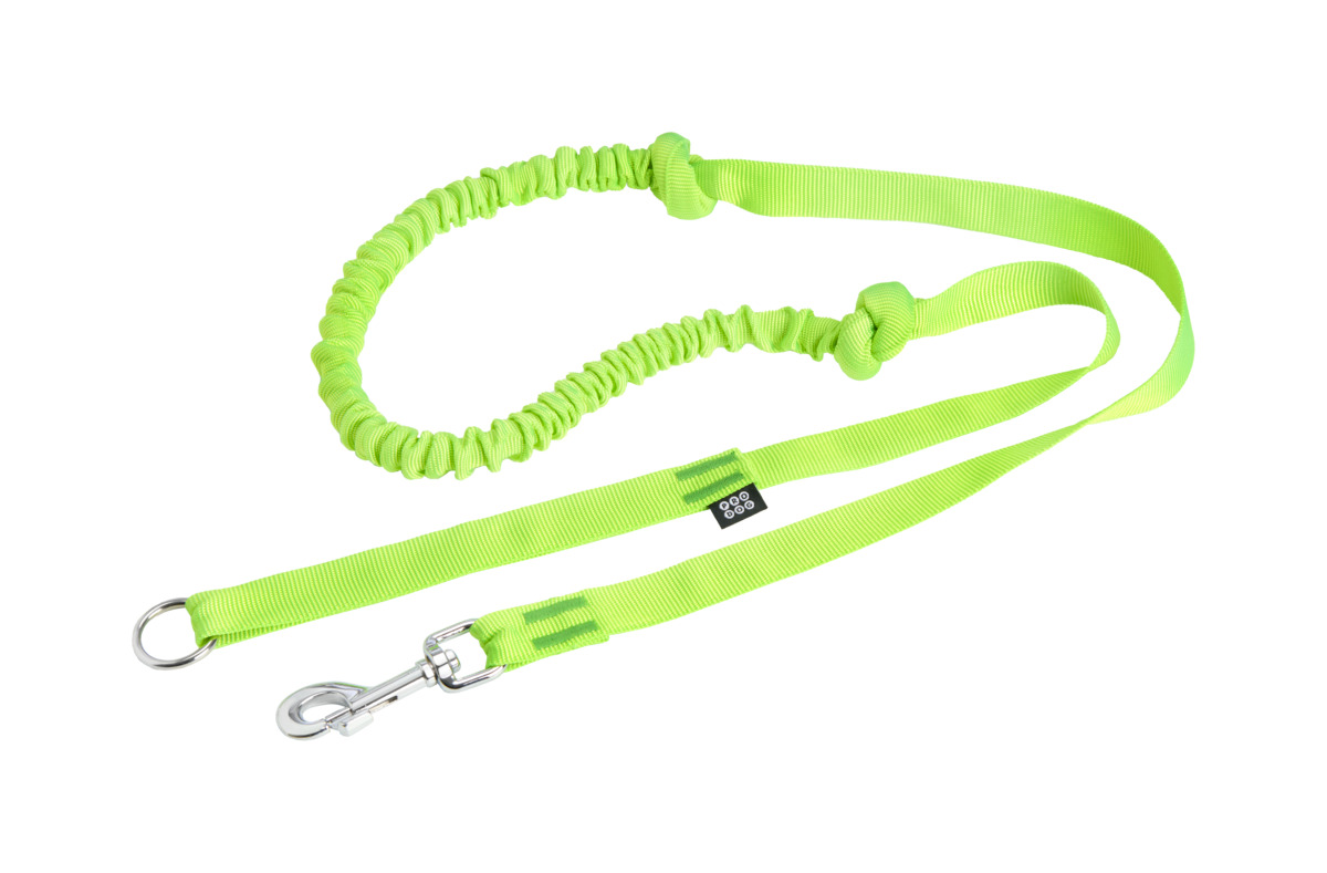 PRO DOG Stretch elastīga pavada suņiem, 2,5 x 170 cm, zaļa - Produkta attēls