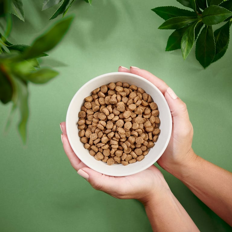 Purenatural Mini koera kuivtoit, 2 kg - Tootepilt 2