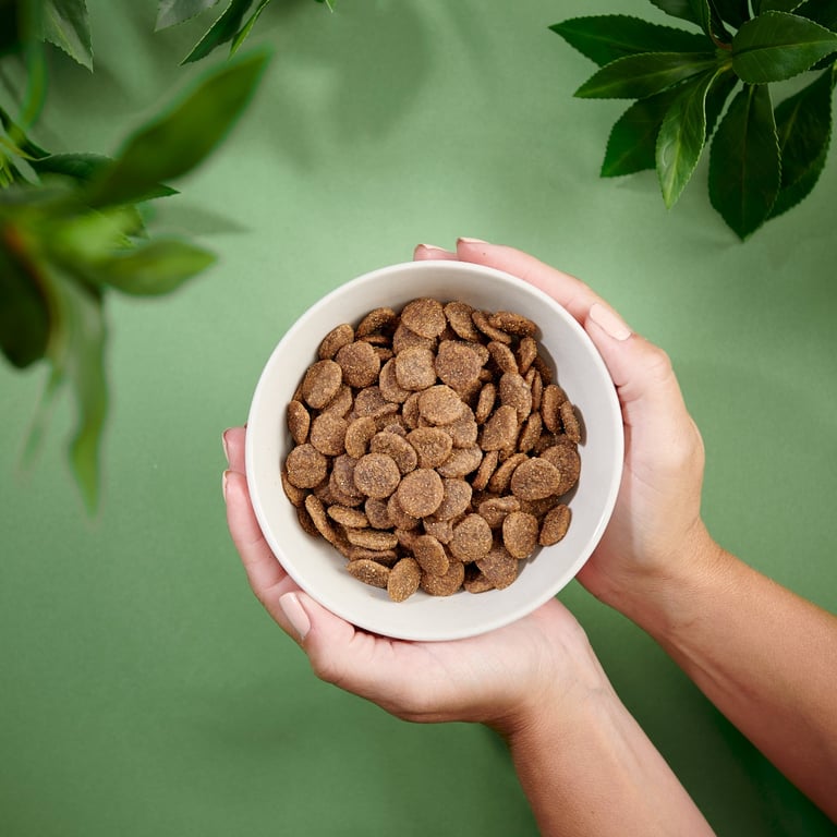 Purenatural begrūdis sausas maistas šunims su kalakutiena, 2 kg -  3