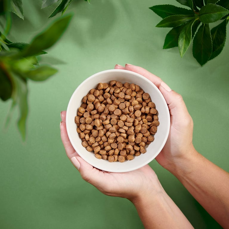 Purenatural sausas maistas šuniukams su vištiena, 2 kg -  3