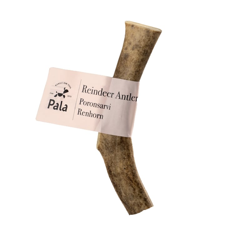 PALA gardums suņiem, ziemeļbrieža rags, S, 40-70 g