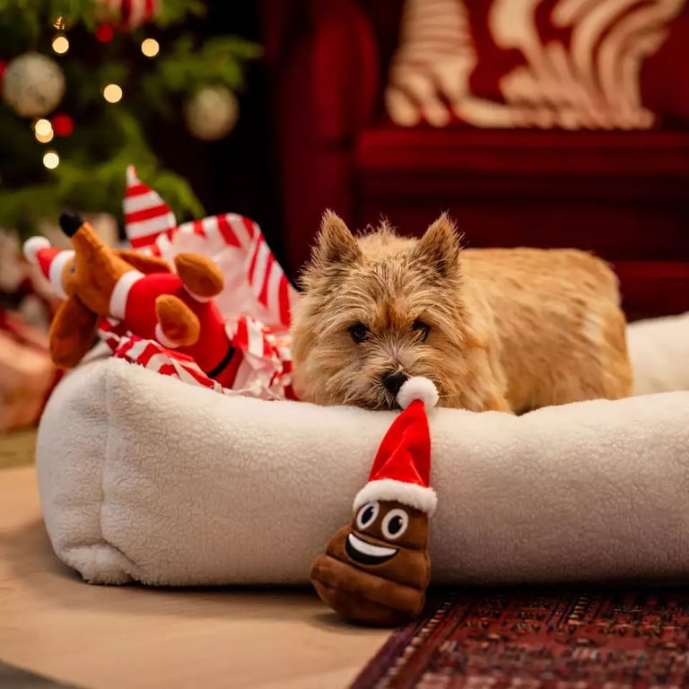 Little&Bigger SeasonsClassics koera mänguasi, Xmas Poop - Tootepilt 2