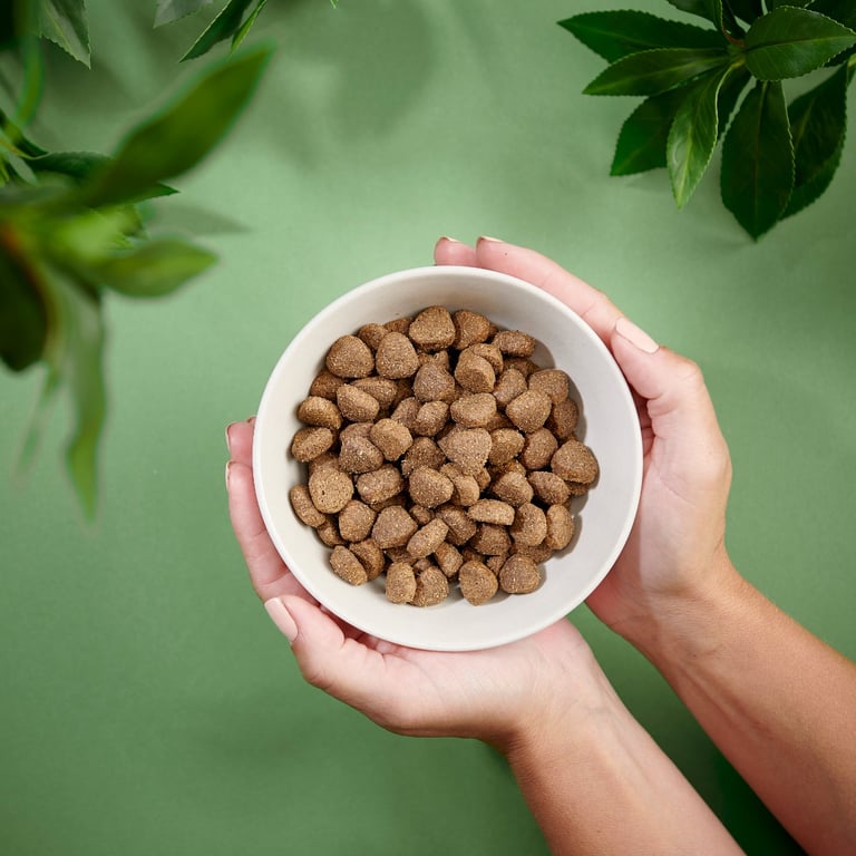 Purenatural Senior kuivtoit eakatele koertele, 2 kg - Tootepilt 3