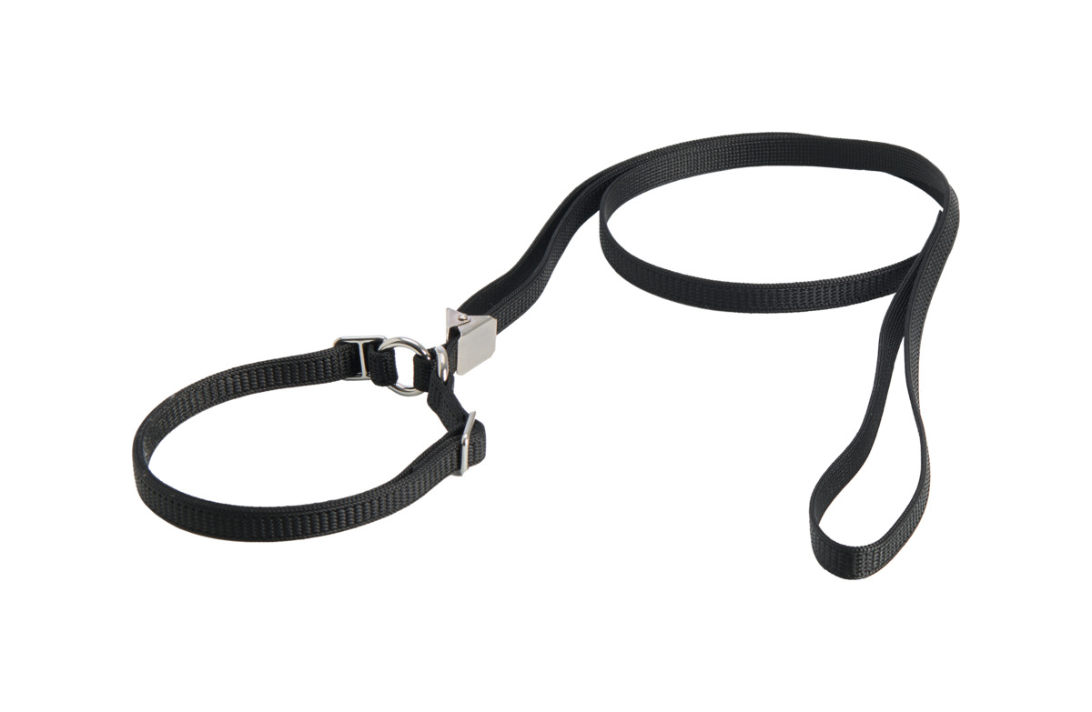 Show Dog parodinis pavadėlis su pus. smaugiamu antkakliu, 110 cm, juod - 