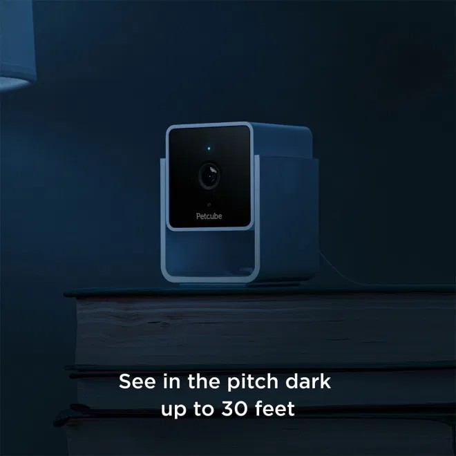 Petcube videokaamera 1080p HD kahepoolse heliga - Tootepilt 4