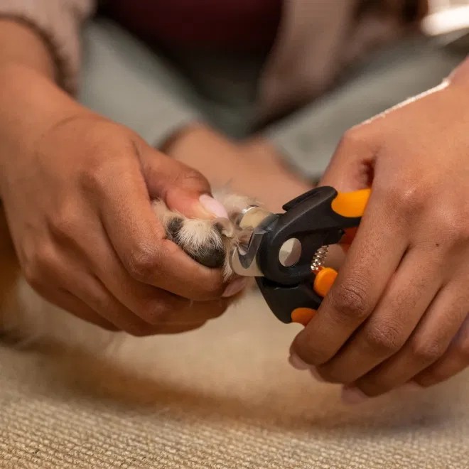 Fiskars Big Dog nagu knaibles lieliem suņiem - Produkta attēls 4
