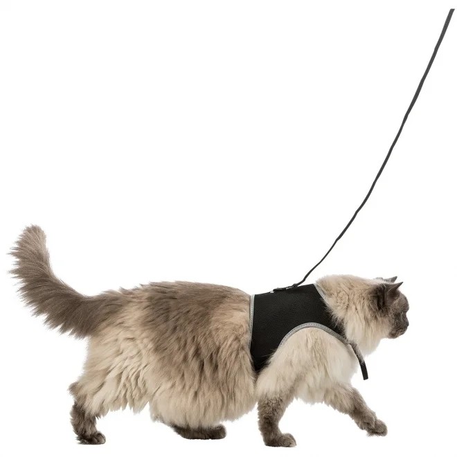 Trixie pehmed traksid kassile, XL - Tootepilt