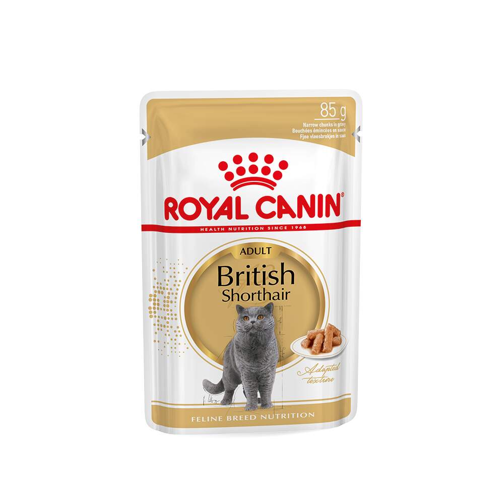 Royal Canin konservai Britų trumpaplaukėms katėms, 12x85 g - 