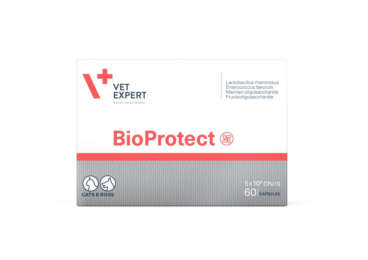 VETEXPERT BIOPROTECT CPS N60 - Tootepilt