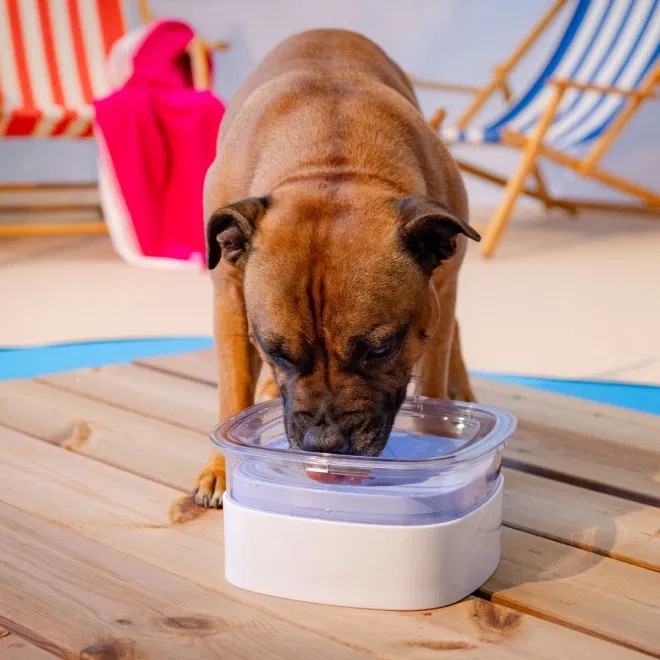L&B Non-splash drinking bowl pale blue -  5