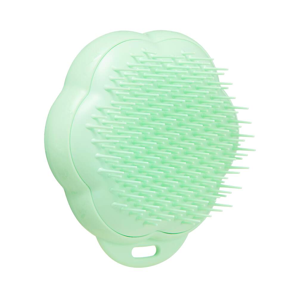 Pet Teezer šepetys katėms, žalias - 