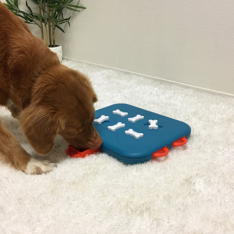 Nina Ottosson Dog Casino interaktyvus žaislas šunims