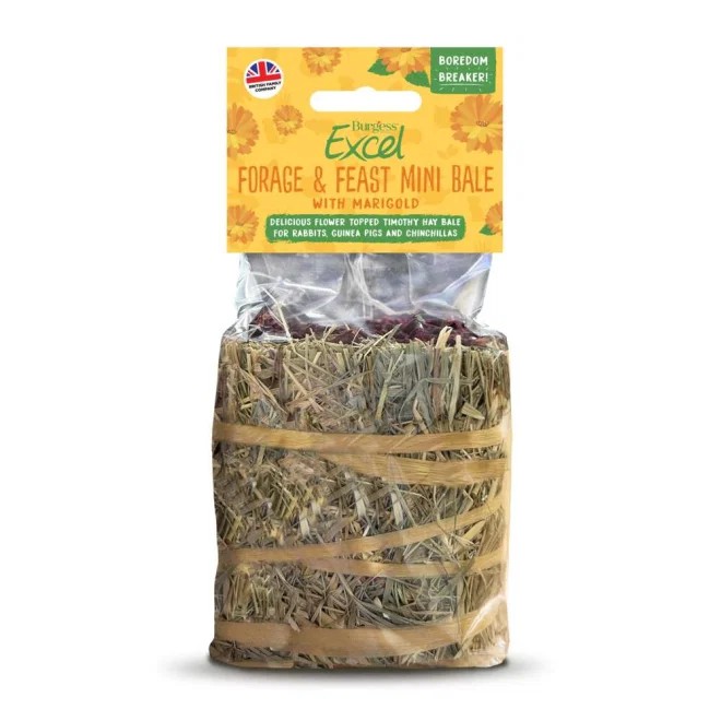 Burgess Forg & Feast hein saialillega 100 g - Tootepilt