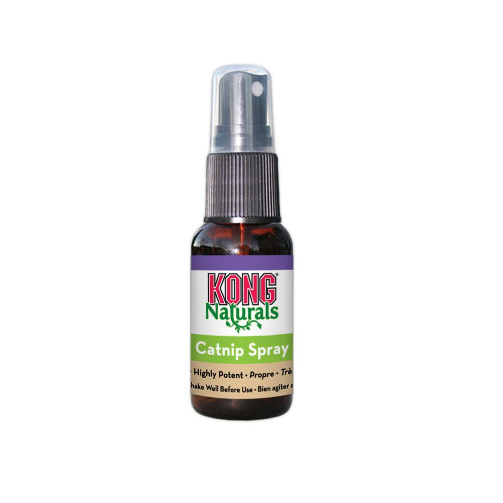 KONG NATURALS PURŠKIAMA KATŽOLĖ - 