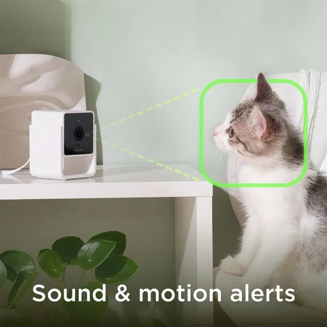 Petcube videokaamera 1080p HD kahepoolse heliga - Tootepilt 3