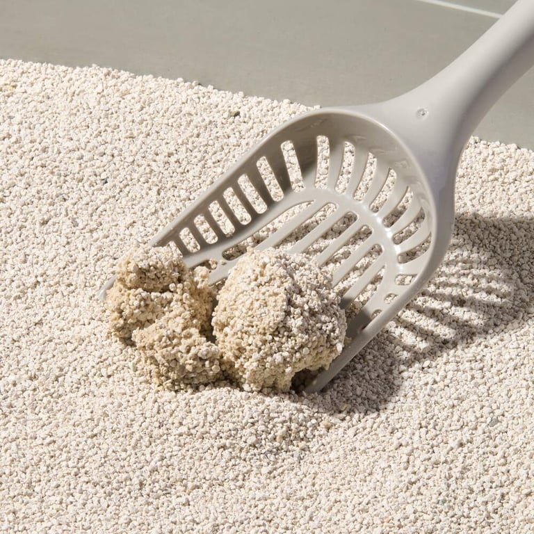 Compact Care Premium White kraikas katėms, bekvapis, 10 kg -  3