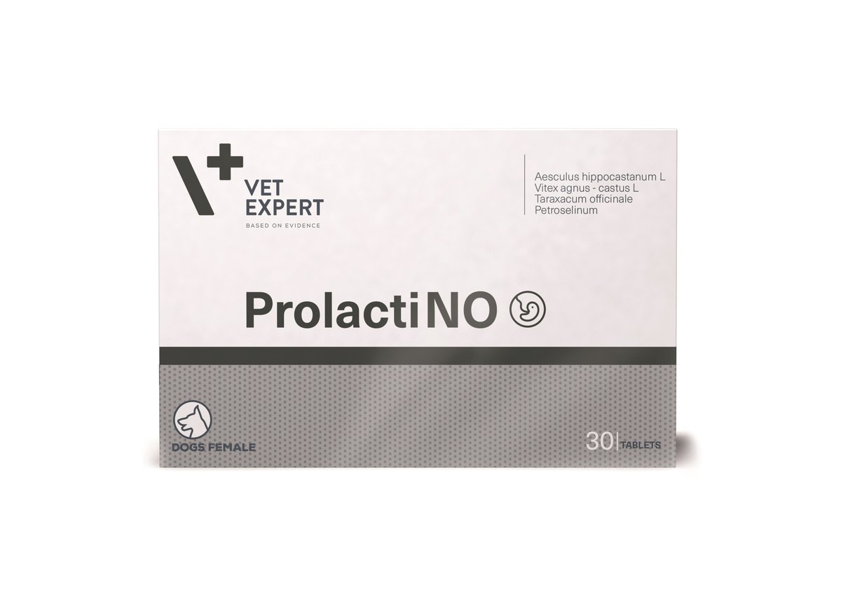 Vet Expert ProlactiNo 295mg, N30, suņiem - Produkta attēls