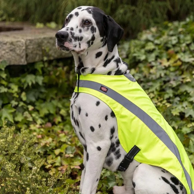 Trixie Safety helkurvest, S - Tootepilt 2