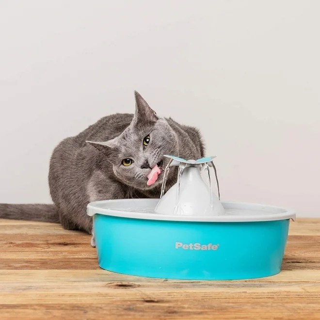 Petsafe Butterfly Water purskkaev, 1,5 l - Tootepilt 4