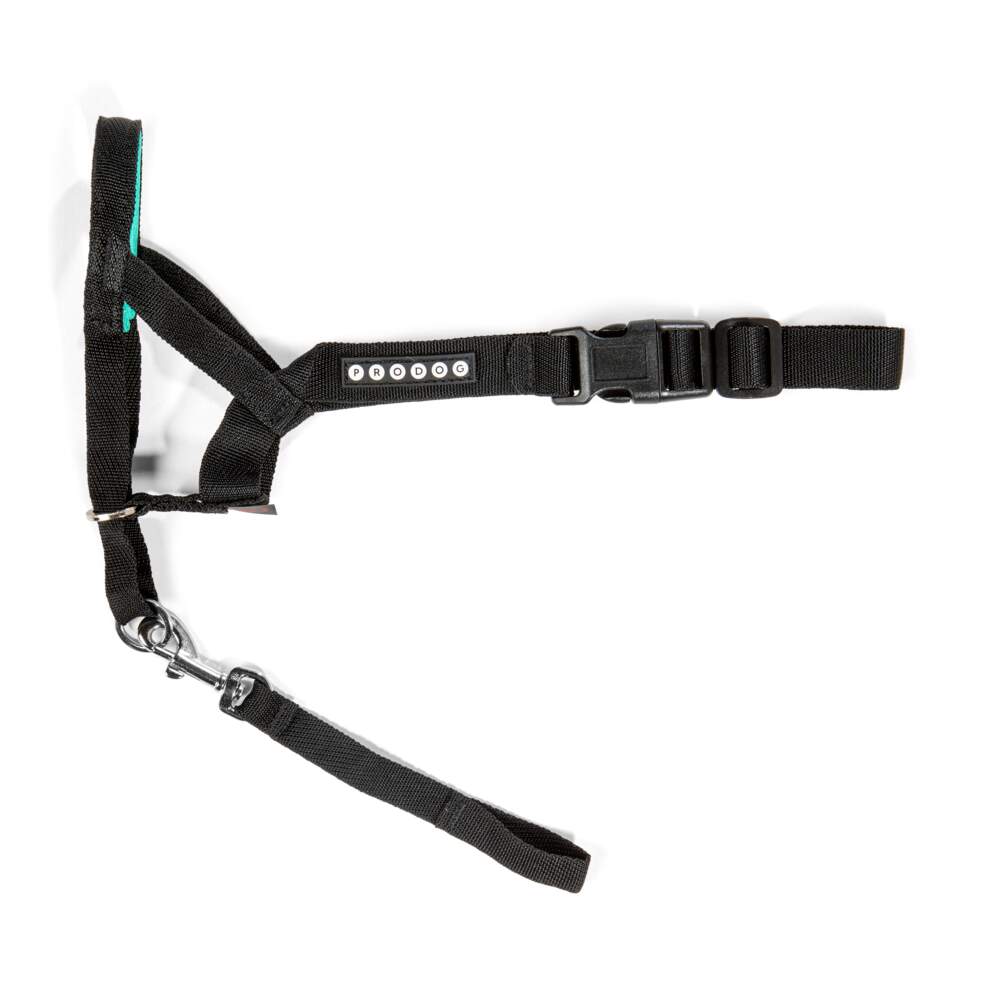 Pro Dog Control Head koonu- ja kaelarihm, suurus 4 - Tootepilt
