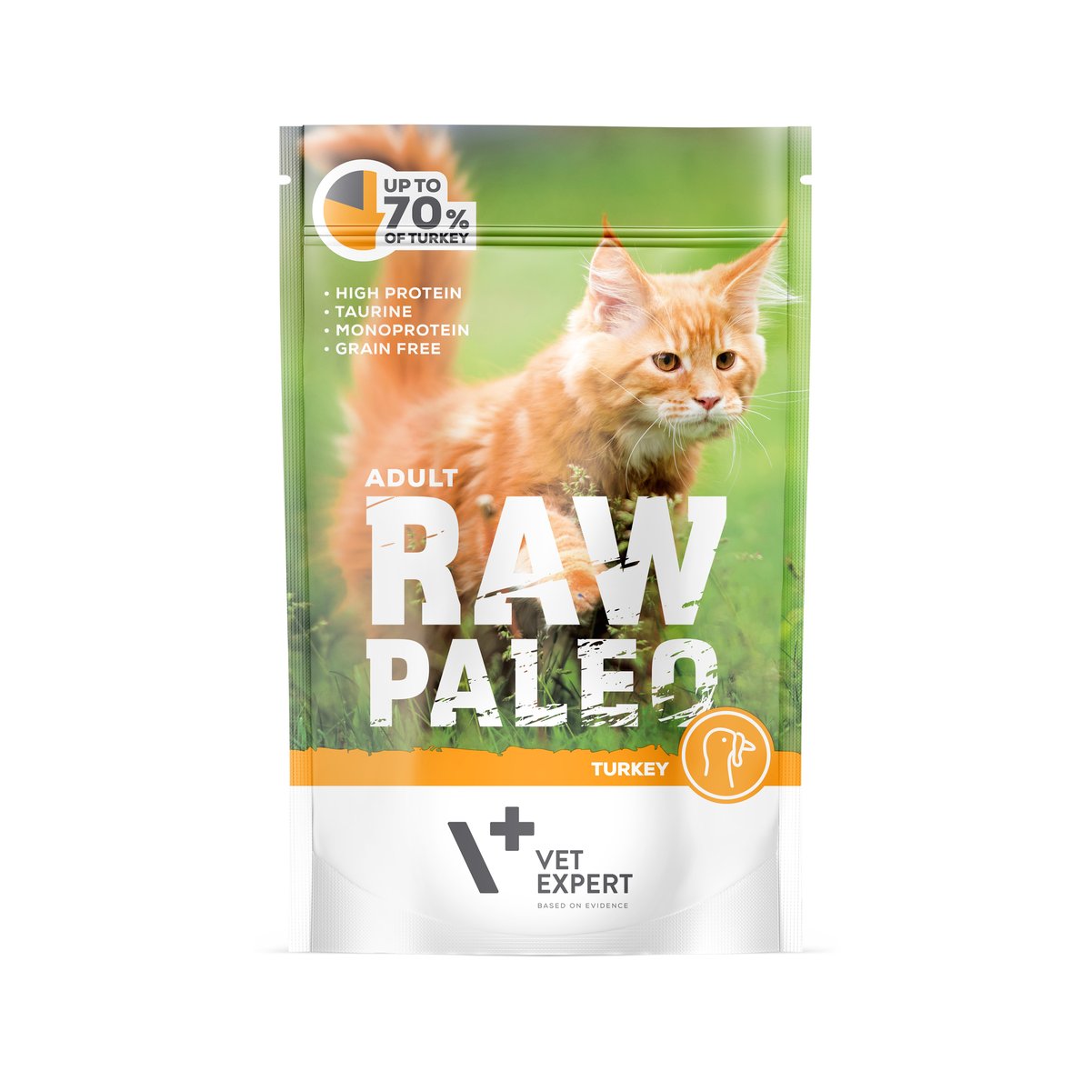 Raw Paleo Adult Cat guliašas katėms su kalakutiena, 100 g -  1