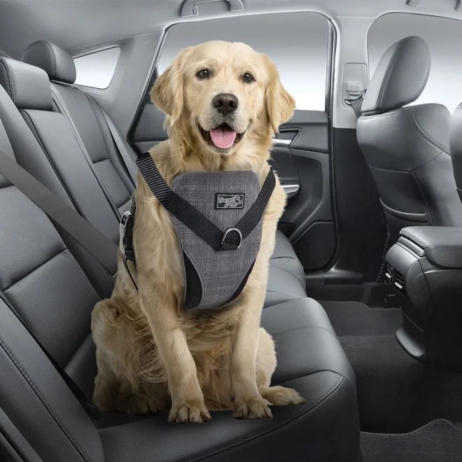 AFP Travel Dog koeratraksid XL - Tootepilt 2