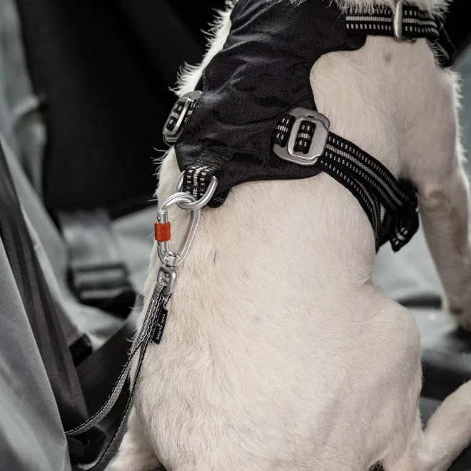 Feel Active Heavy Duty drošības josta suņiem automašīnai, L - Produkta attēls 3
