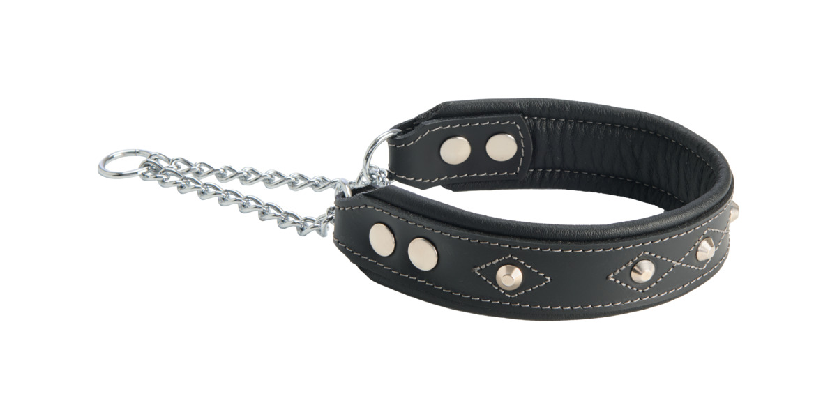Feel Power odinis antkaklis šunims su kniedėmis, 40–55 cm, juoda - 