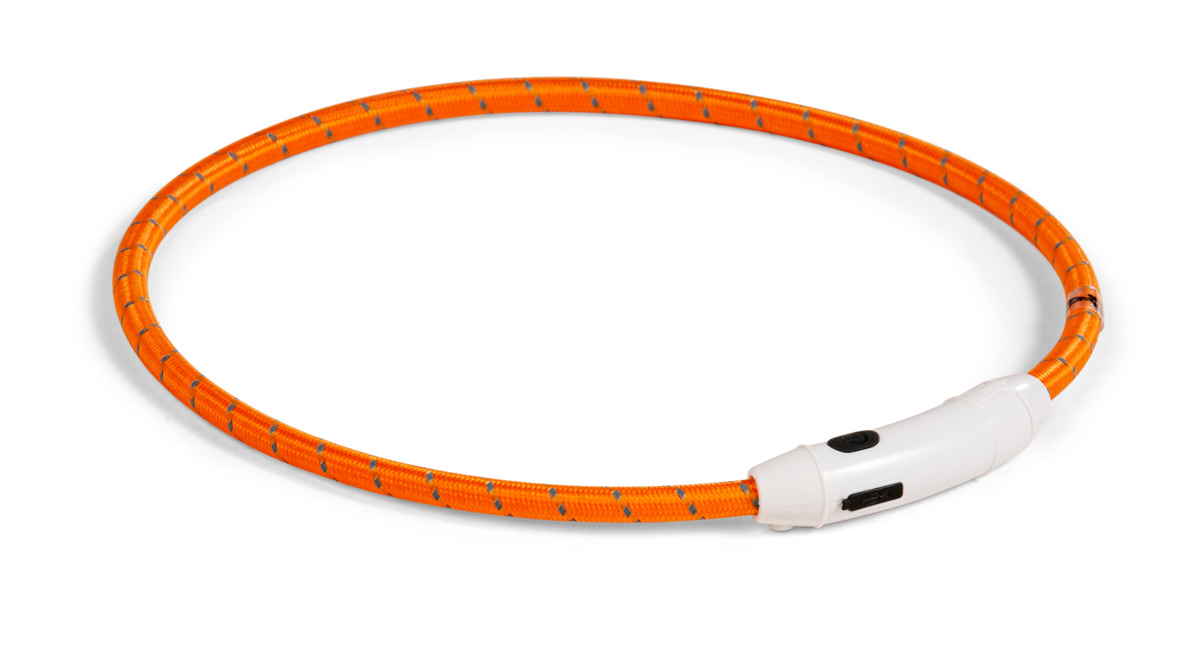 Basic LED antkaklis šunims, USB įkrovimas, 65 cm - 