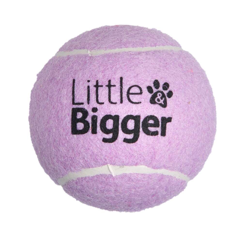 Little&Bigger Tennis rotaļlieta suņiem, M, violeta - Produkta attēls