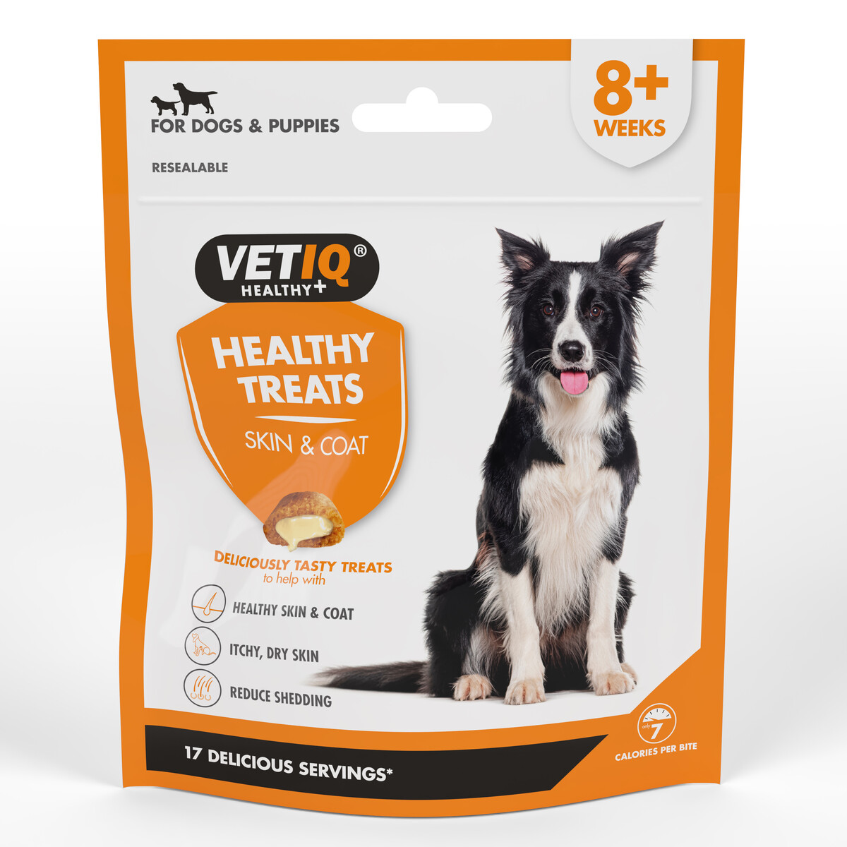 VETIQ Skin & Coat koera maius, 70 g - Tootepilt 1