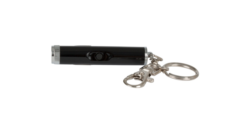 L&B HOLOGRAM LAZERINIS ŽAISLAS KATĖMS, 38CM