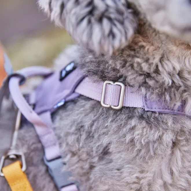 Hurtta Seeker krūšu siksna, 35–45 cm, lavanda - Produkta attēls 3