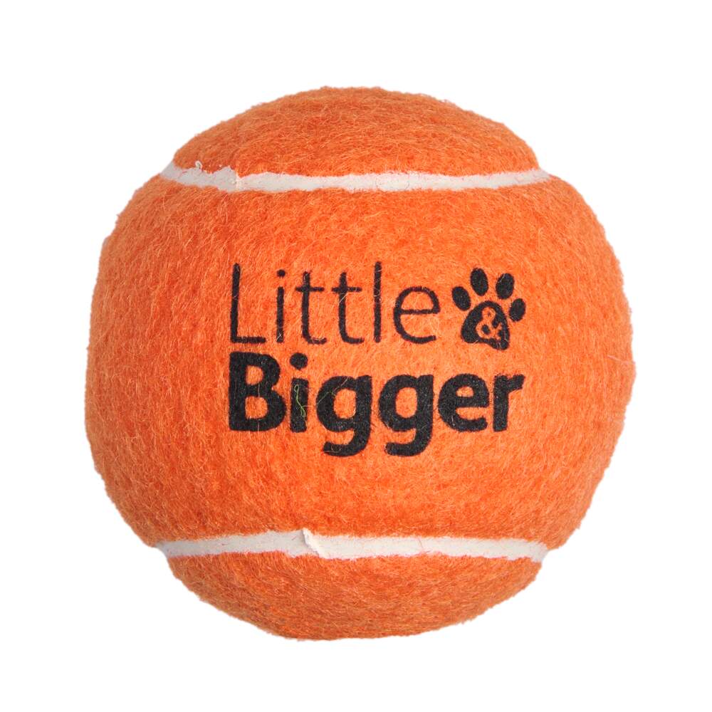 Little&Bigger Tennis rotaļlieta suņiem, M, oranža - Produkta attēls