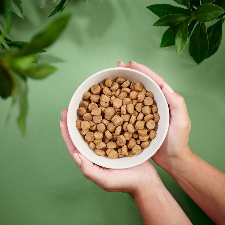 Purenatural sausas maistas vidutinių veislių šunims su vištiena, 2 kg -  5
