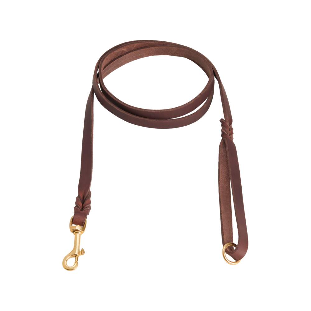 Feel Braid ādas pavada suņiem, brūna, 1,5 × 180 cm - Produkta attēls