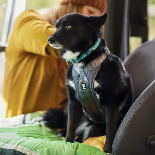 Hurtta Travel krūšu siksna ECO 0–5 kg, pelēka - Produkta attēls 2
