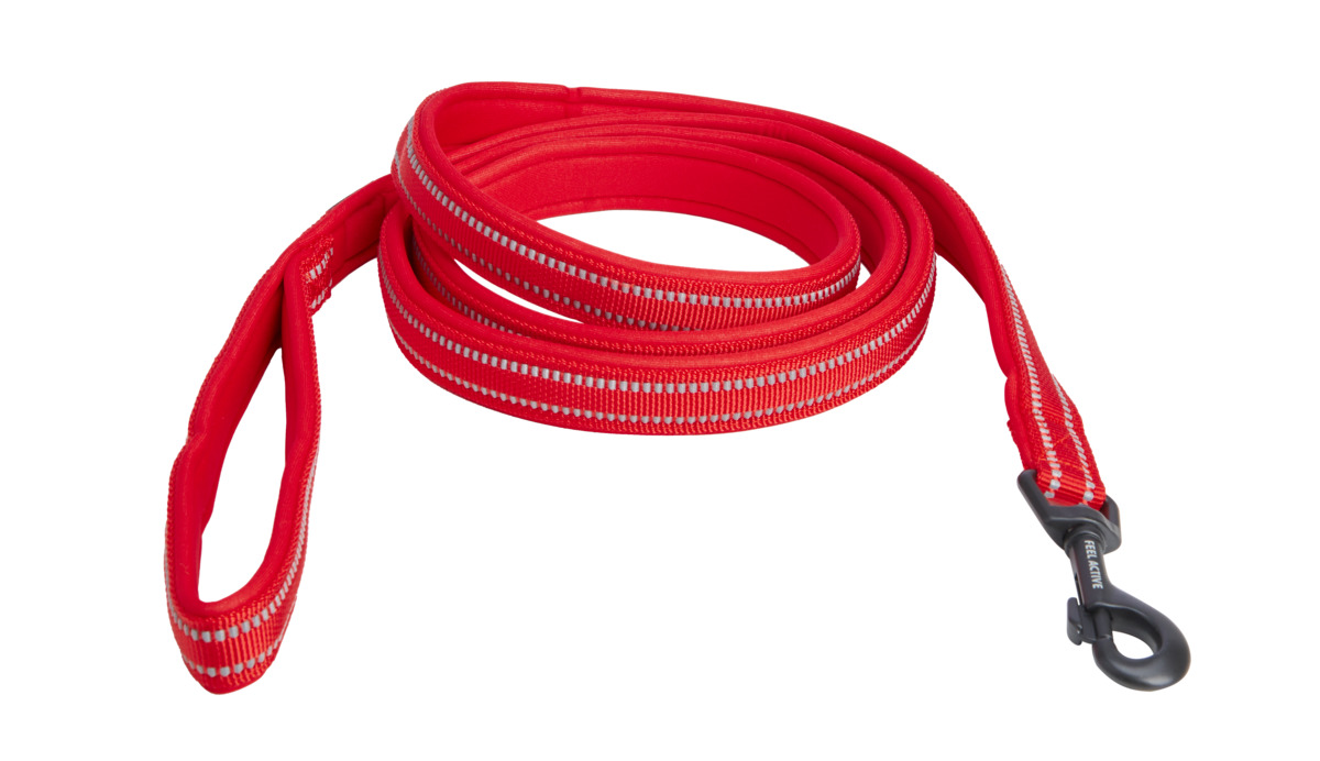 FEEL ACTIVE Padded pavada suņiem, 1 x 200 cm, sarkana - Produkta attēls