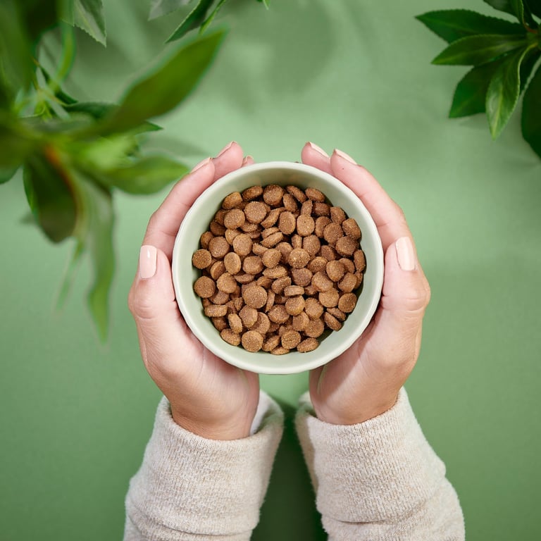 Purenatural begrūdis maistas katėms su vištiena ir kalakutiena, 2 kg -  3