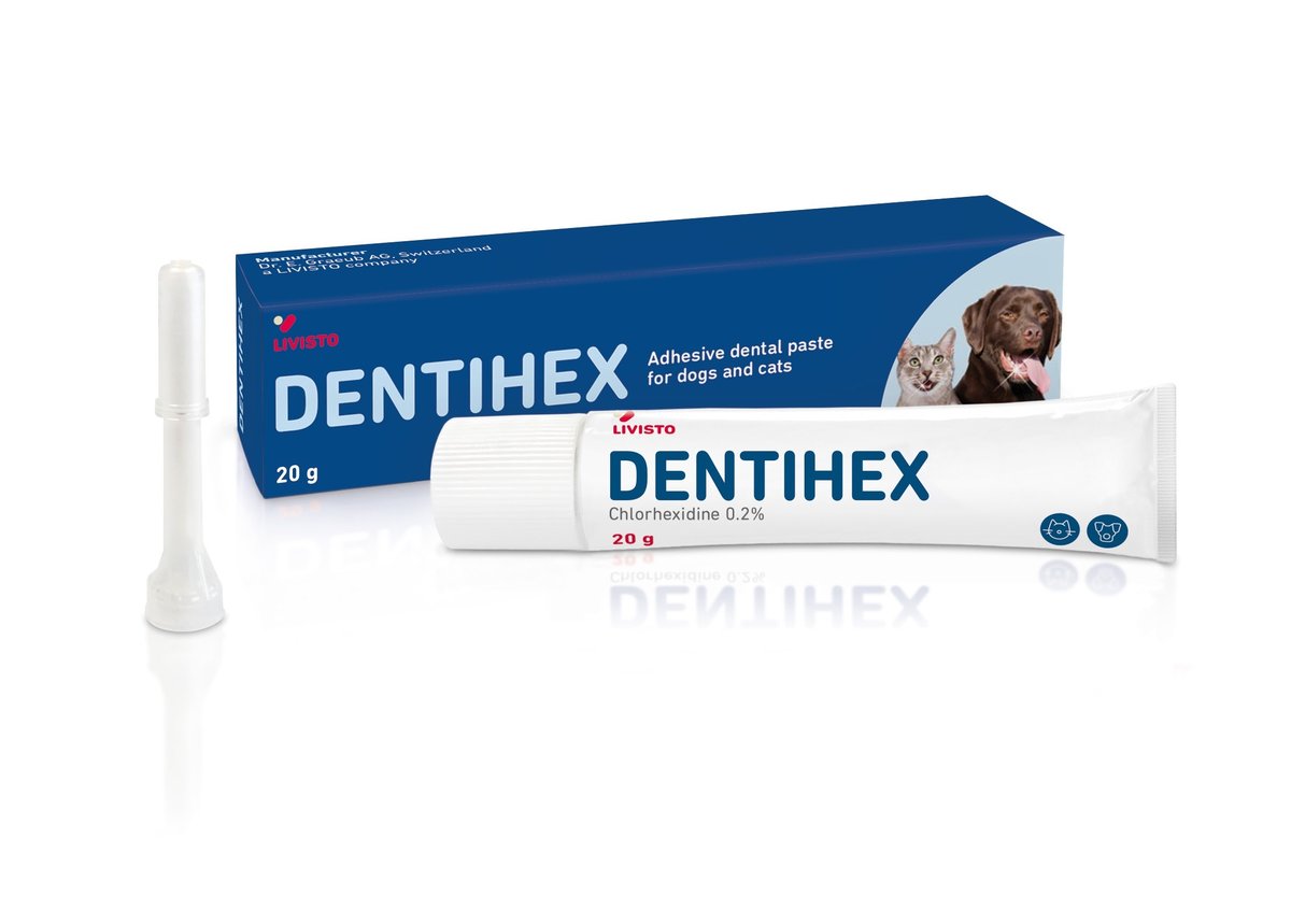 Dentihex zobu pasta suņiem/kaķiem, 20g - Produkta attēls