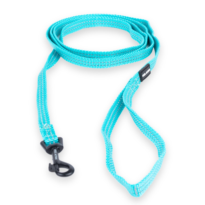 Feel Active nailoninis pavadėlis mažiems šunims, 1 × 180 cm, turkio - 