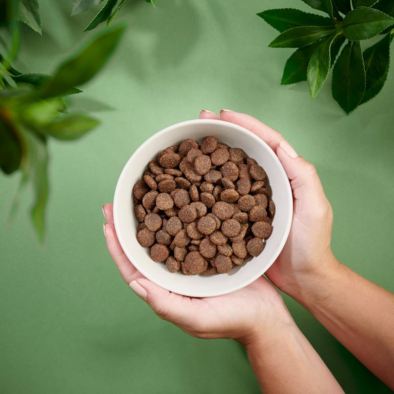 Purenatural begrūdis sausas maistas šunims su lašiša, 2 kg -  4