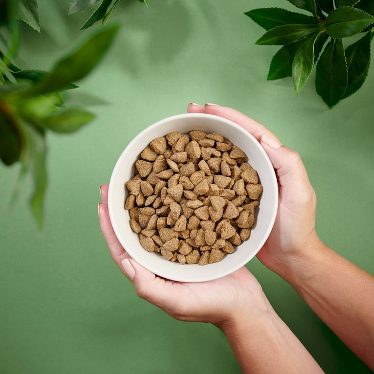 PURENATURAL Sensitive sausā barība pieaugušiem suņiem, lasis, 2kg - Produkta attēls 2