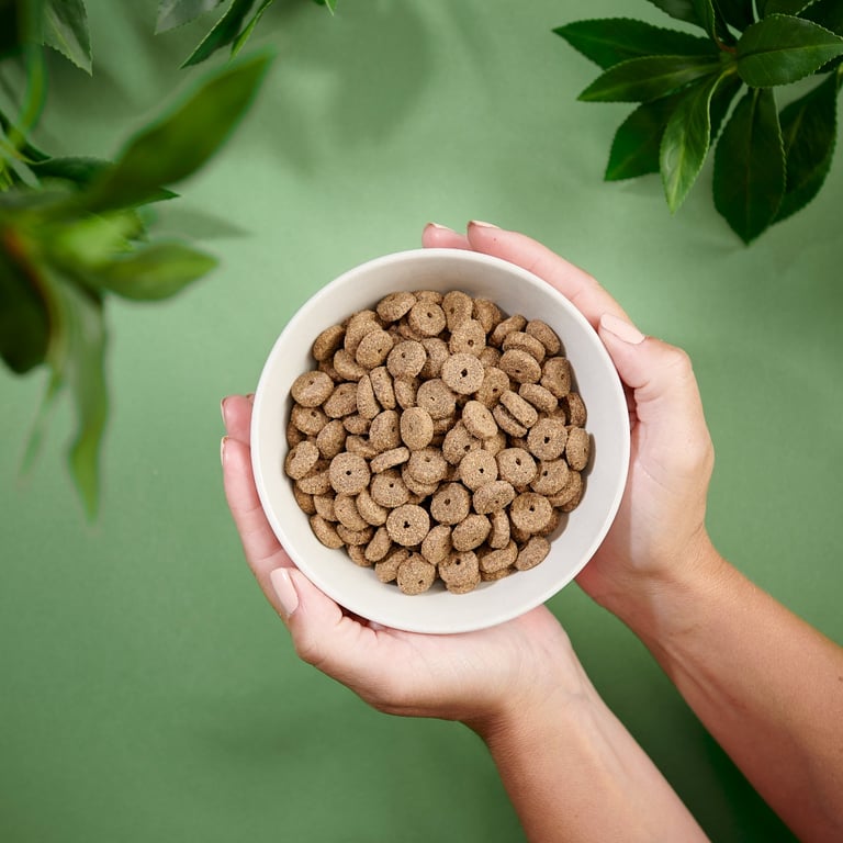 PURENATURAL Light sausā barība suņiem, tītars, 2kg - Produkta attēls 3