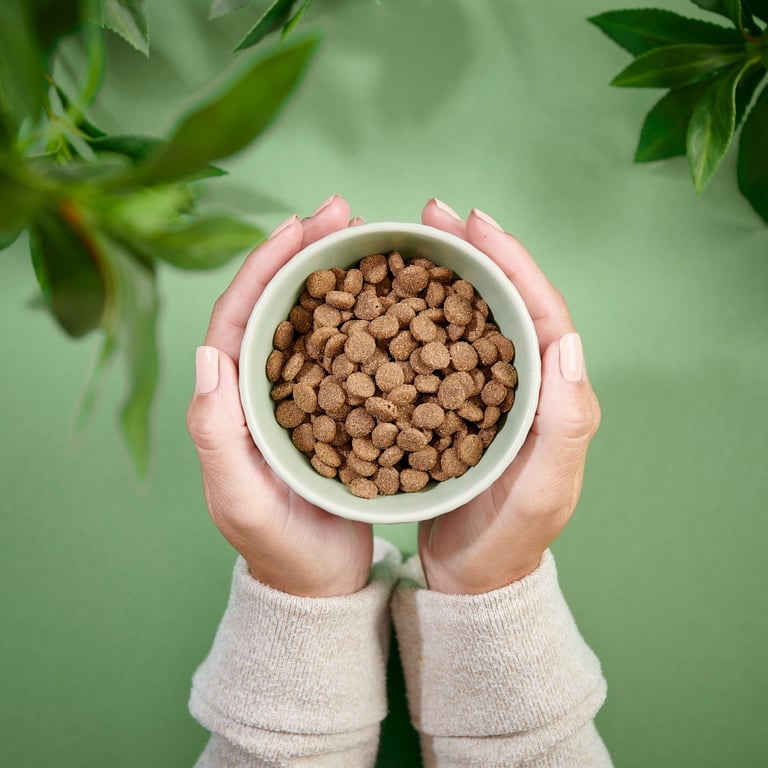 Purenatural maistas katėms su ėriena, 2 kg -  3