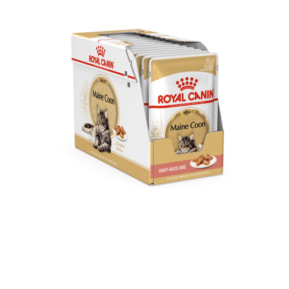 Royal Canin Maine Coon konservai katėms, 12x85 g - 